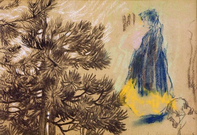 Feuille étude conifère Pierre Bonnard