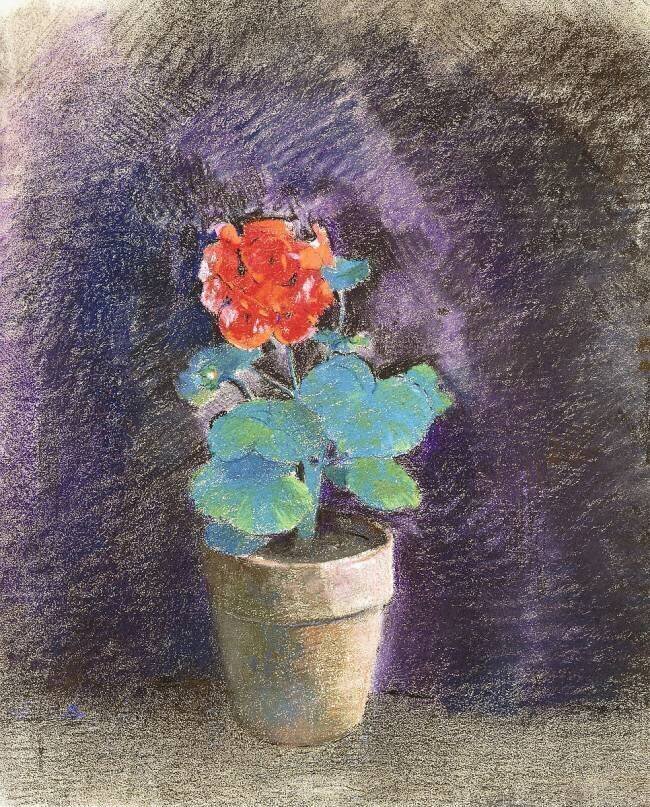 Géranium Odilon Redon