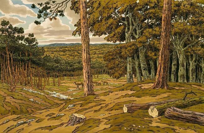 La Forêt Henri Rivière
