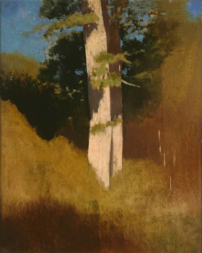 L’arbre au ciel bleu Odilon Redon