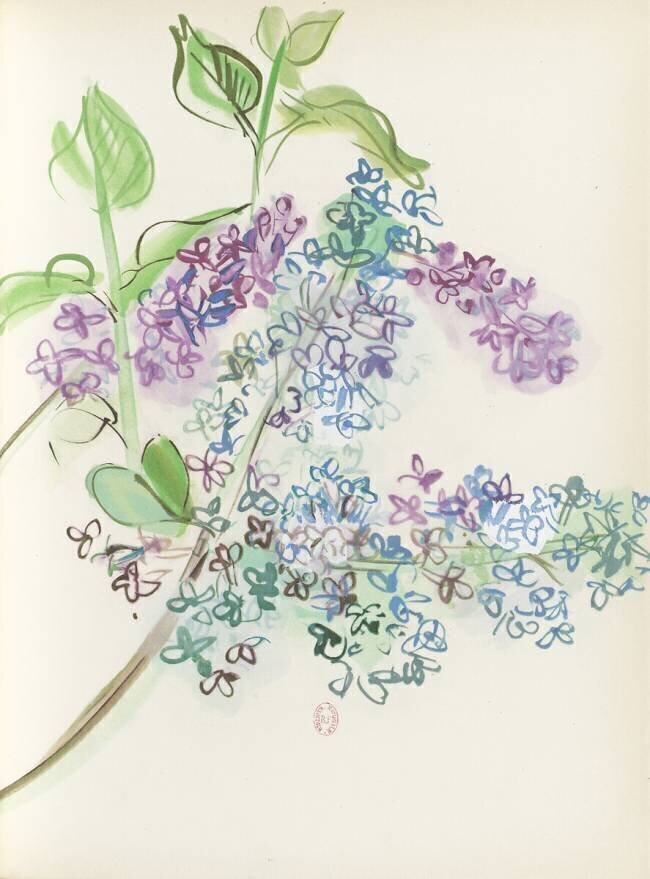 Lilas, Pour un herbier, Colette Raoul Dufy