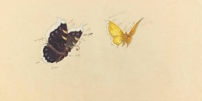 Modèle de décor pour une marqueterie sur bois : deux papillons en vol Emile Gallé