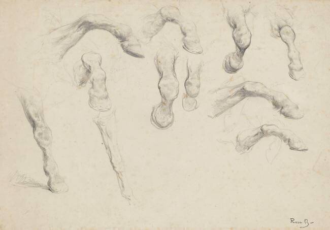 Onze études de jambes de cheval Rosa Bonheur
