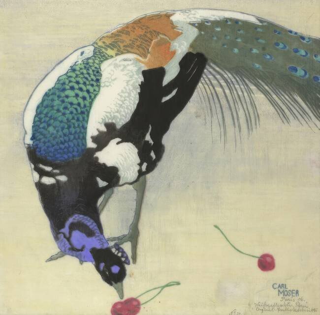 Paon moucheté Carl Moser