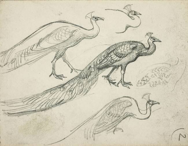 Paons de profil Eugène Grasset