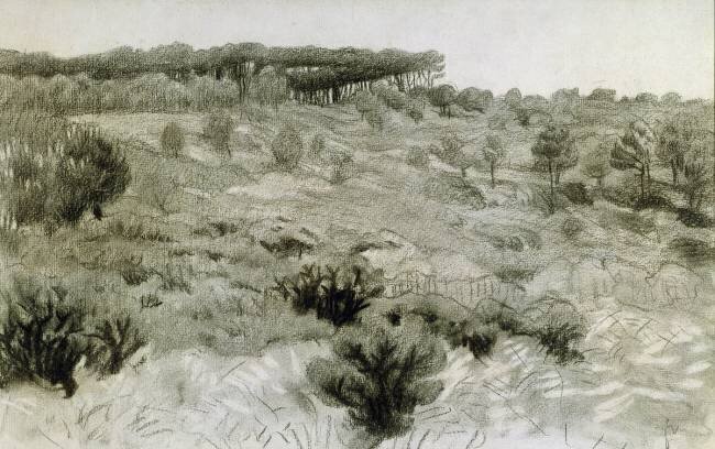 Paysage Félix Vallotton