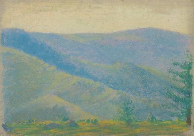 Paysage de montagne avec sapins au premier plan François Garas