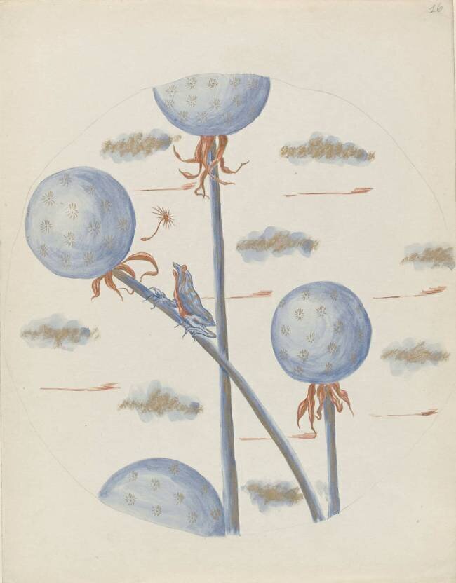 Pissenlits et grenouilles Louis Hestaux