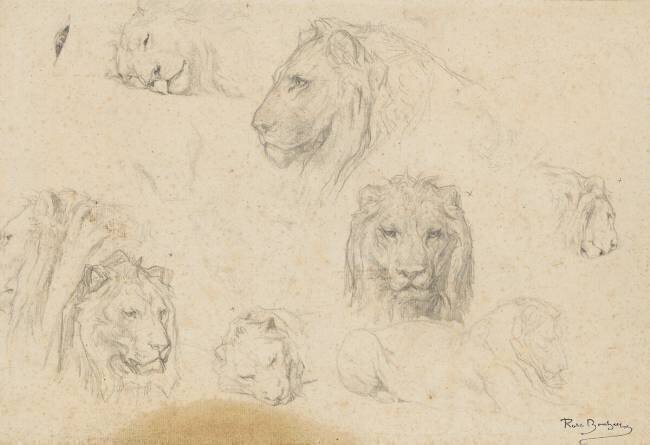Sept études de têtes de lion, et croquis d'un lion couché Rosa Bonheur