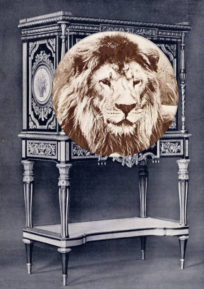 Tête de lion sur une commode, 1935 Humphrey Jennings