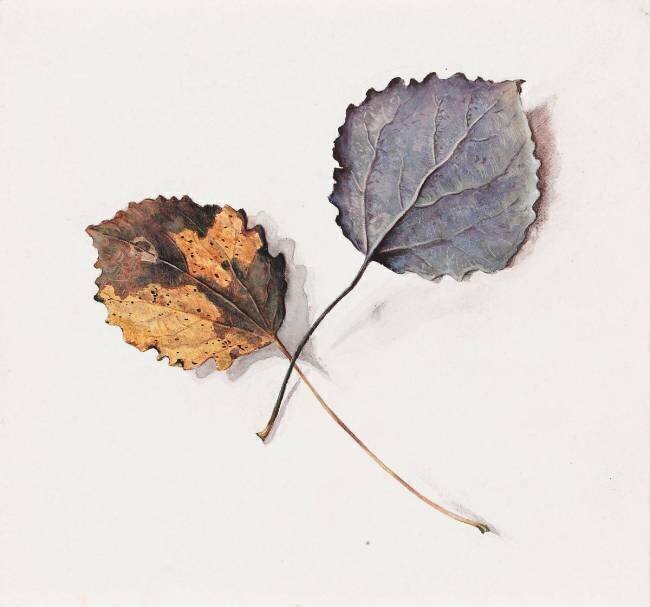 Tremble Emile Gallé