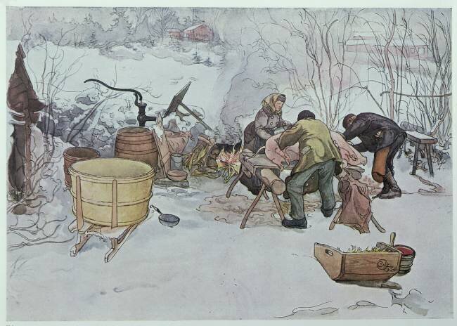 Tuer le cochon Carl Larsson