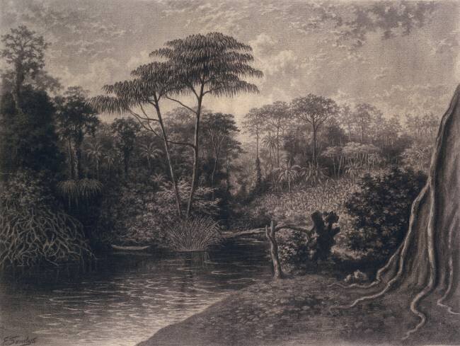 View of the Cameroon River Frederick Sandys