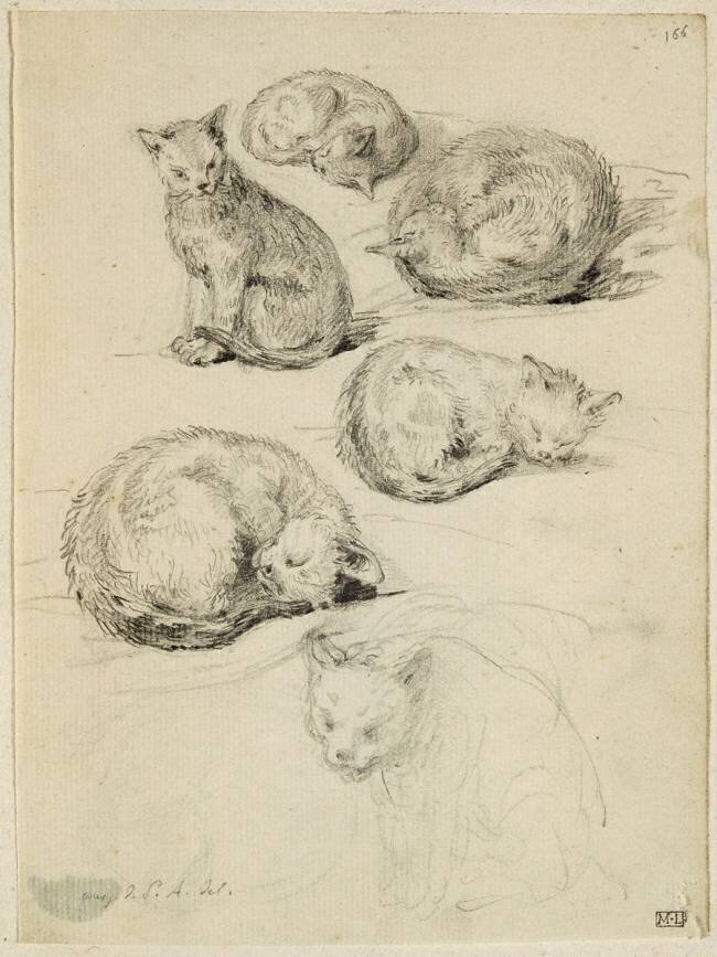 Album factice : Etudes de six chats Augustin de Saint-Aubin