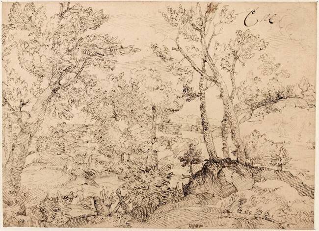 Bois, avec au loin un village, visible à travers la futaie Frères Carracci (école des)