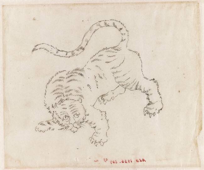 Décor d'une lampe japonaise : tigre Emile Gallé