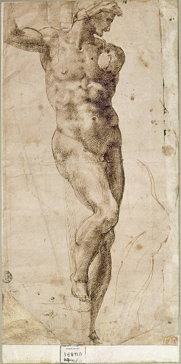 Etude d'homme nu debout, le corps est nu vu de face, la tête de profil Michelangelo Buonarroti