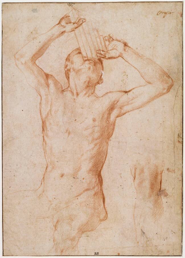 Homme nu assis vu de face jusqu'aux genoux la tête levée et jouant de la flûte de Pan Bronzino