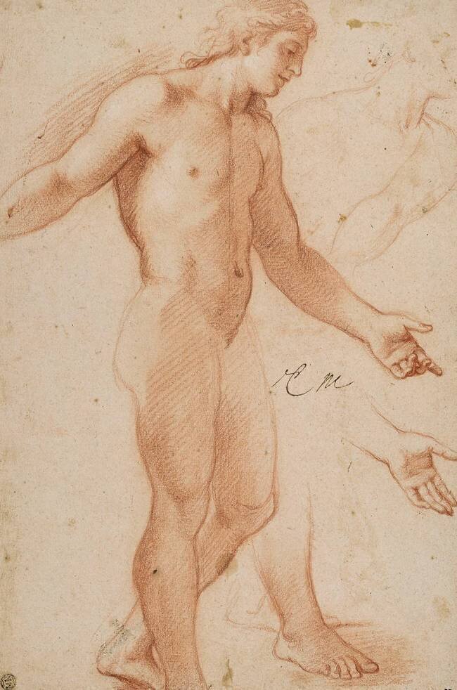 Homme nu debout Charles Le Brun