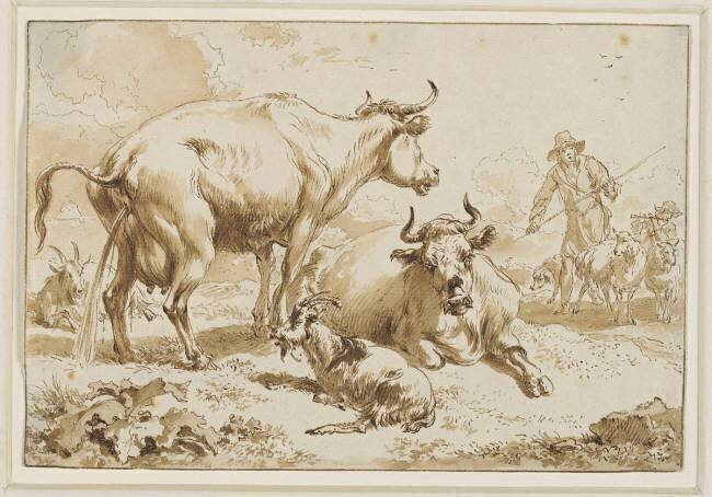 La vache couchée près de la vache qui pisse anonyme