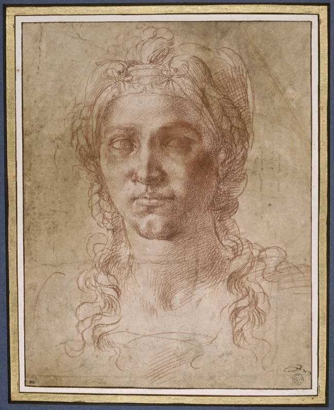 Tête de femme vue de face, les cheveux nattés Michel-Ange