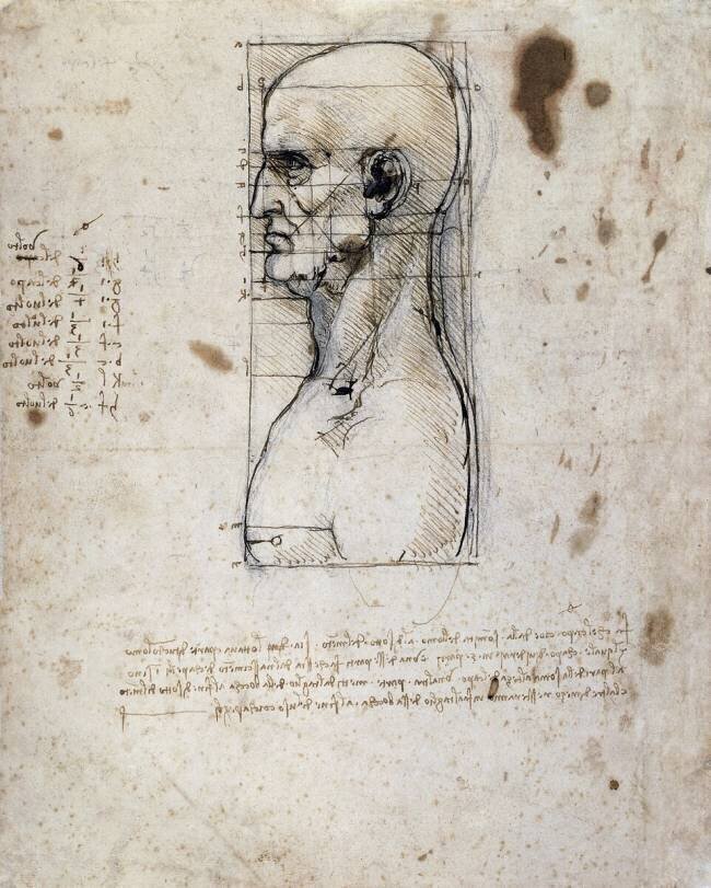 Buste d'un homme de profil avec mesures et notes Léonard de Vinci