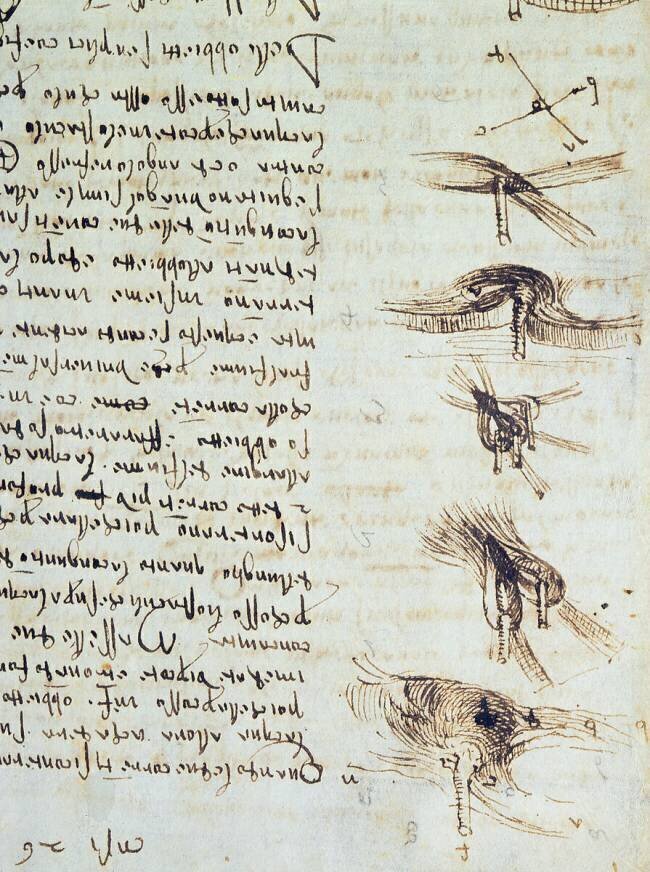 Diagrammes scientifiques Léonard de Vinci