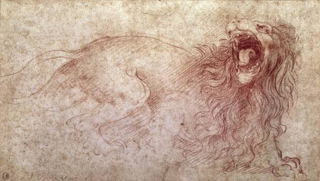 Etude d'un lion rugissant  Léonard de Vinci