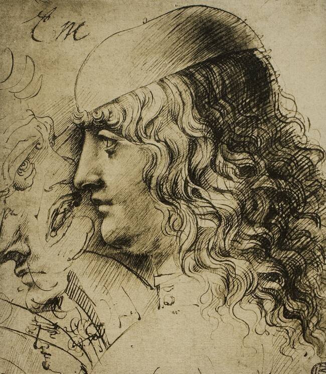 Étude d'une tête masculine Léonard de Vinci