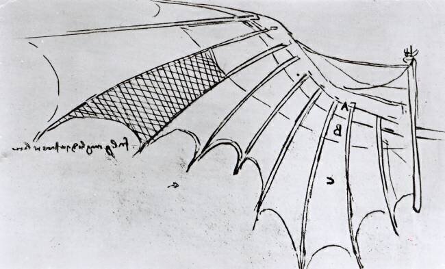 Études de l'articulation des ailes Léonard de Vinci
