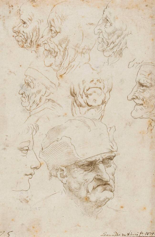 Etudes de têtes Leonardo da Vinci