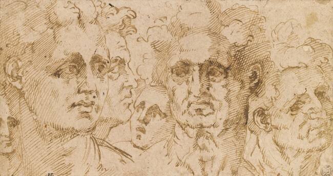 Feuille d'études : six têtes d'hommes Baccio Bandinelli