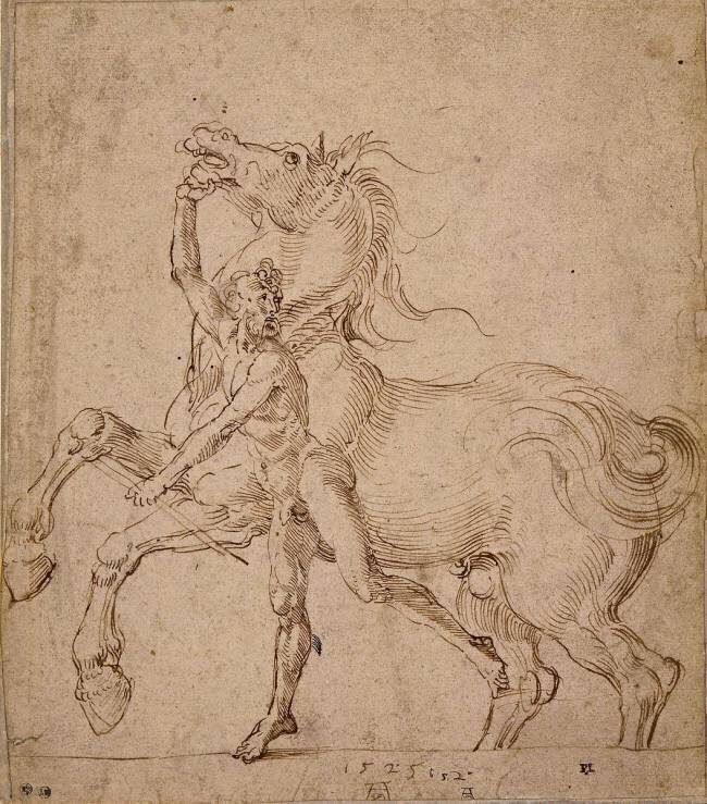 Homme nu tenant un cheval cabré Albrecht Dürer
