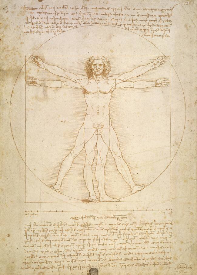 L'homme de Vitruve Léonard de Vinci