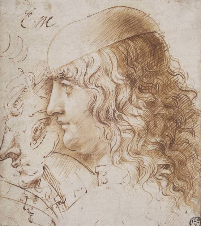 Profil de jeune homme aux cheveux longs, et autres études de têtes Léonard de Vinci