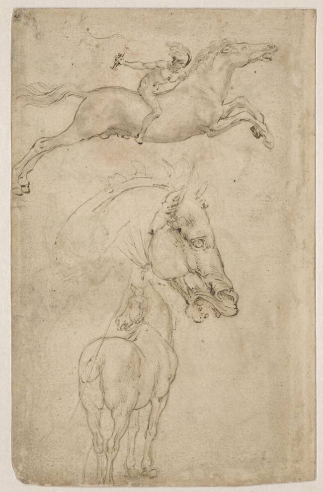 Tête de cheval, vue de la croupe d'un cheval Léonard de Vinci