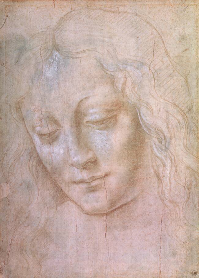 Tête de femme Léonard de Vinci (école de)