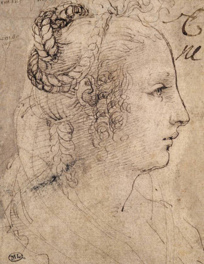 Tête de femme de profil, les cheveux nattés Leonardo da Vinci