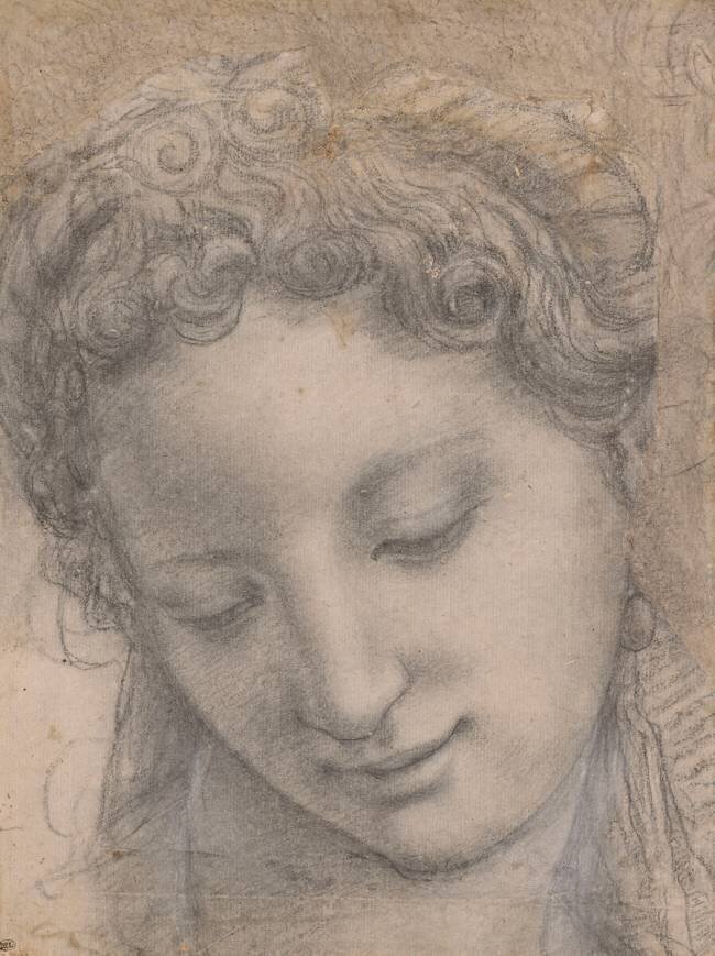 Tête de femme inclinée, souriante et les yeux baissés Bronzino