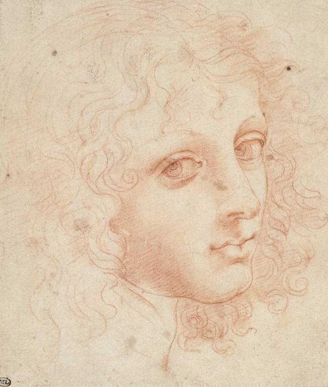 Tête de jeune homme aux cheveux bouclés, de trois quarts vers la droite Leonardo da Vinci