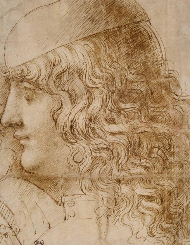 Tête de jeune homme, Salaino (?) Leonardo da Vinci