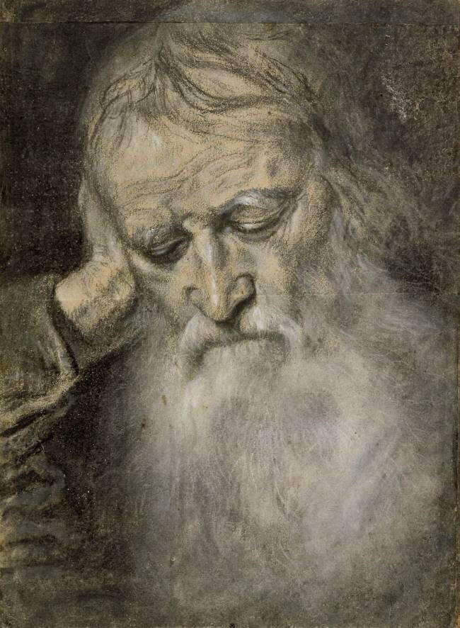 Tête de vieillard Giovanni Girolamo Savoldo