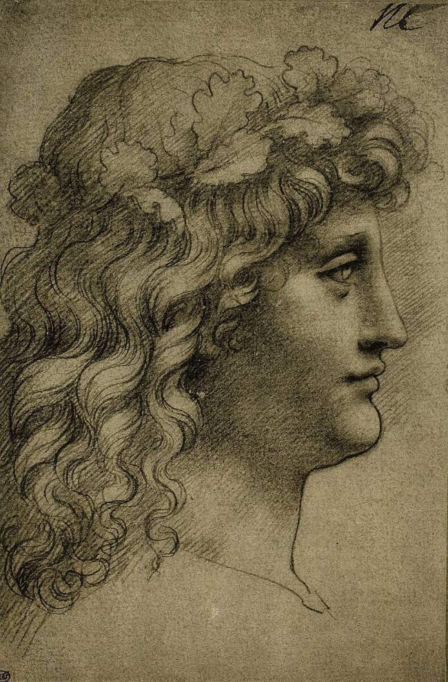 Tête d'un jeune homme Léonard de Vinci