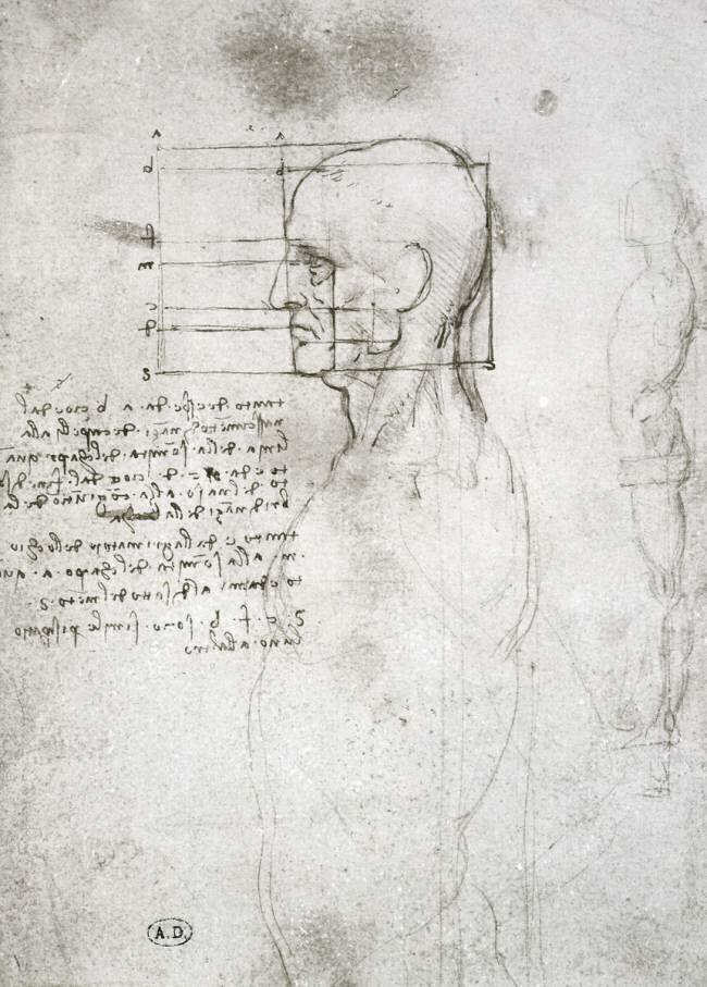 Tête d'un vieil homme de profil Léonard de Vinci