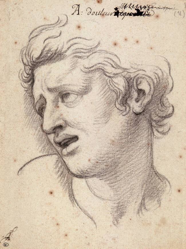 Album "Expression des Passions" : la Douleur de l'esprit Charles Le Brun