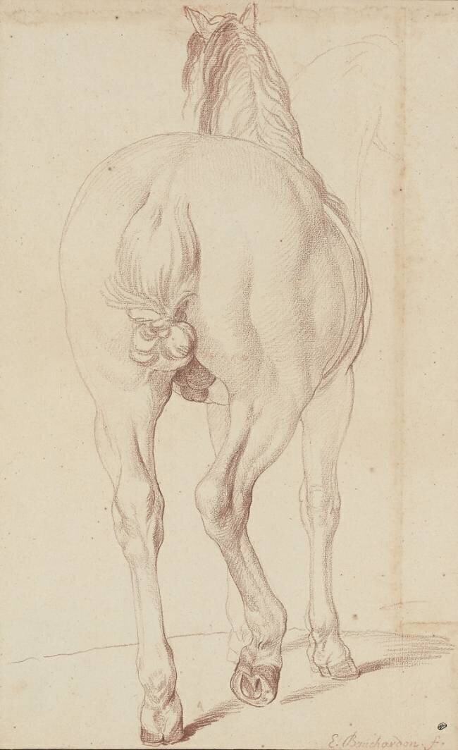Cheval debout, vu de dos Edme Bouchardon