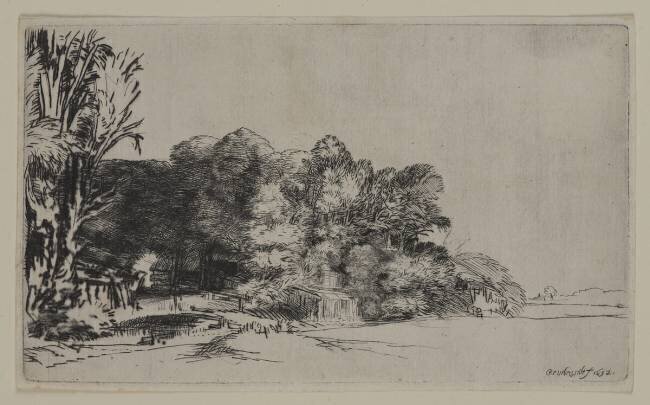 Clump of Trees with a Vista Auguste Renoir