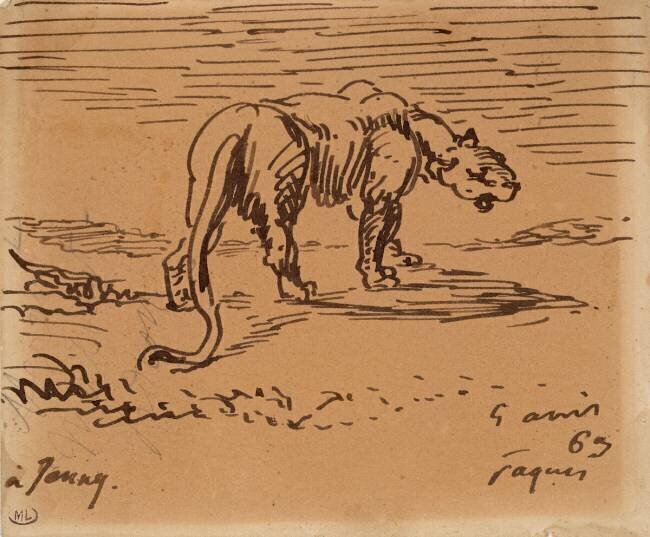 Etude de tigre Eugène Delacroix
