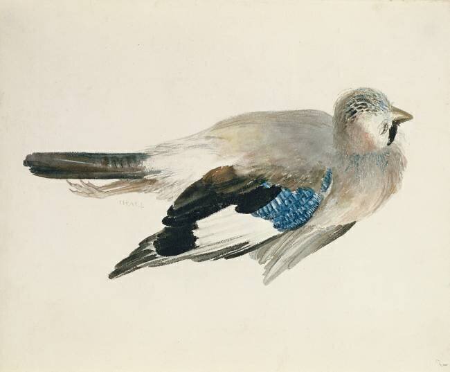 Jay Joseph Mallord William Turner