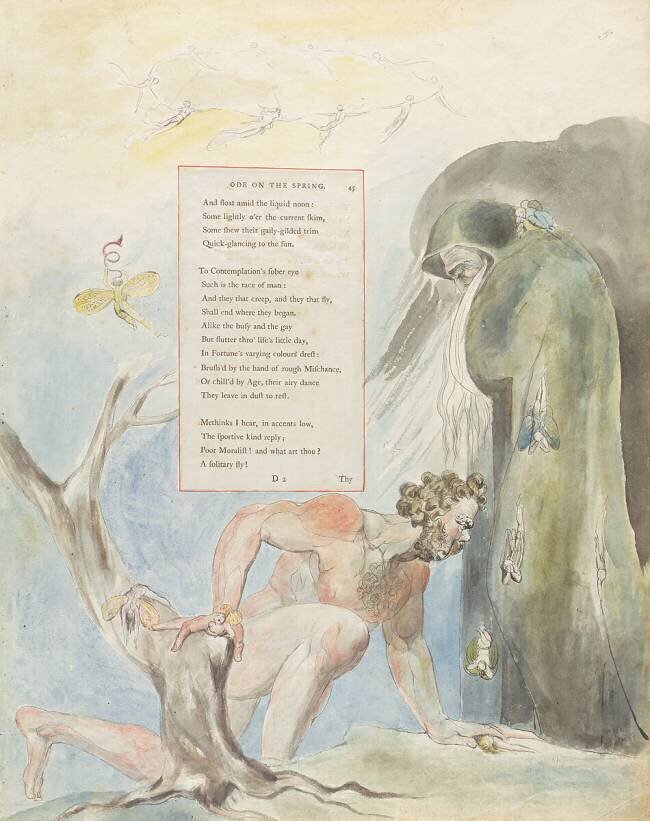 Ode on the Spring William Blake